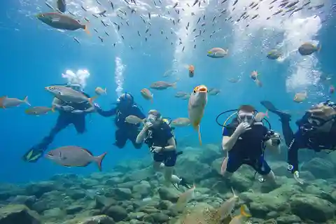 Tenerife: Beginner Scuba Diving Experience with Pickup
