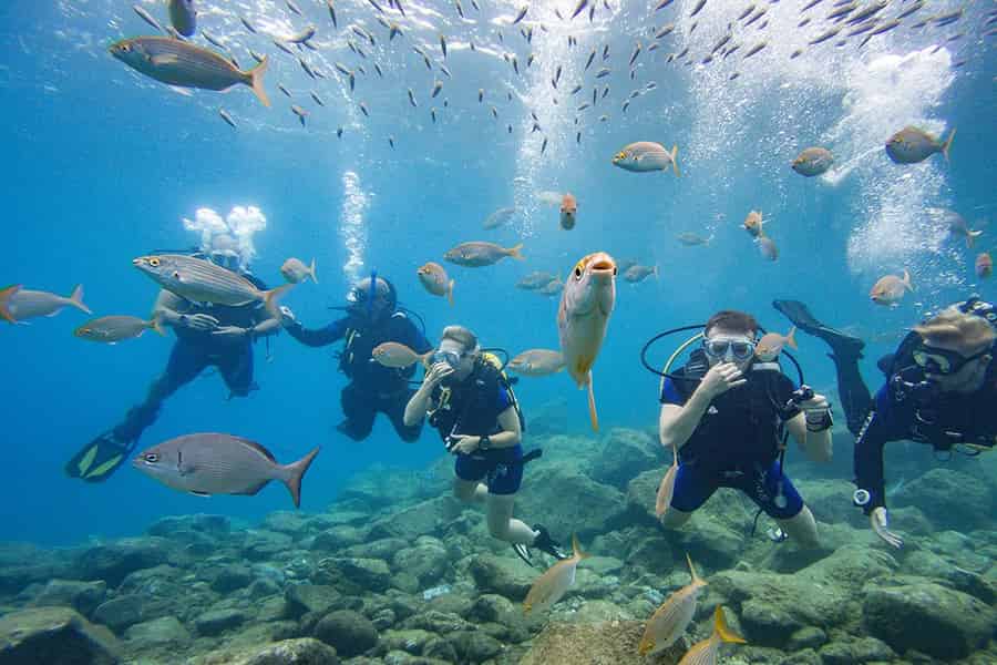 Teneriffa: Taucherlebnis für Anfänger. Foto: GetYourGuide Teneriffa: Taucherlebnis für Anfänger. Foto: GetYourGuide