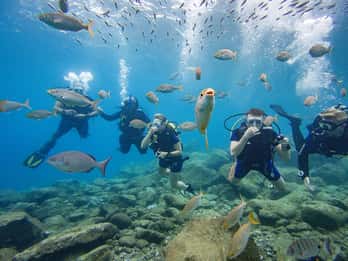 Tenerife: esperienza di immersione subacquea per principianti con piccoli gruppi