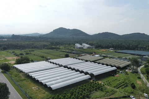 بينانج: جولة مزرعة قرية الفانيليا بواسطة كايروس