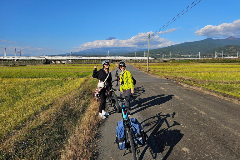 La città di Fuji: Tour panoramico in E-Bike del Monte Fuji
