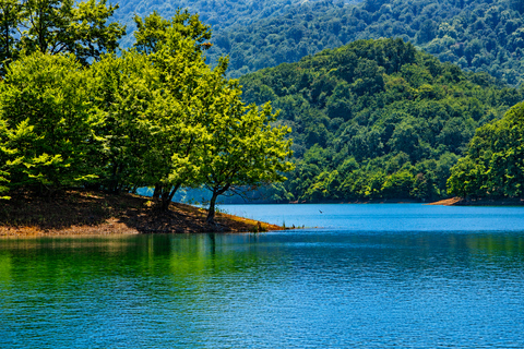 Lankaran & Lerik: Tea Plantations, Lake & Waterfalls