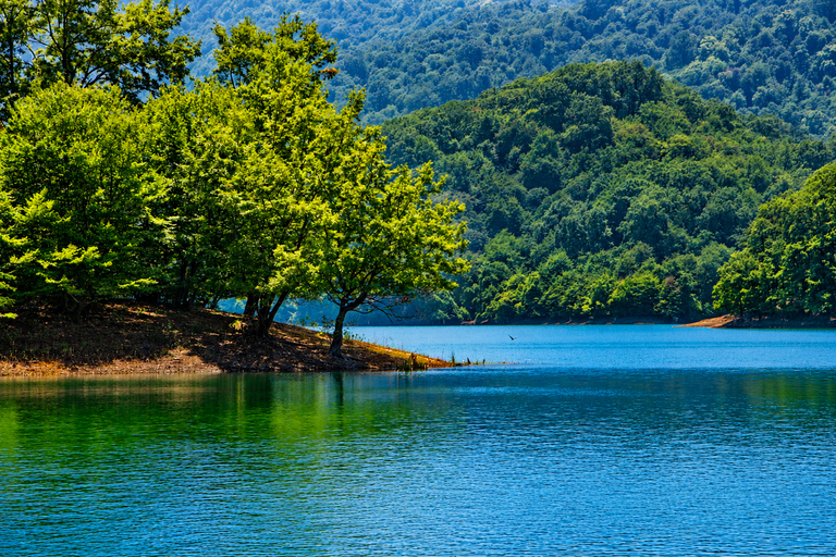 Lankaran & Lerik: Tea Plantations, Lake & Waterfalls