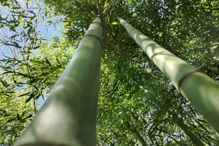 From Baku: Lankaran, Lerik, and Astara 2-Day Tour