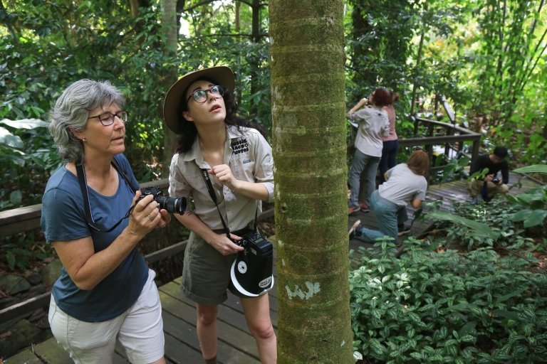 Cairns: Fotografia owadów Wycieczka po ogrodach botanicznych w Cairns