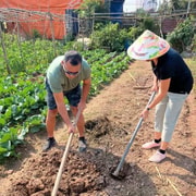 Hands-On Farming Adventure in Hanoi’s Countryside