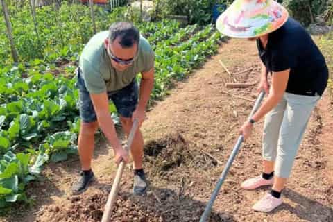 Hands-On Farming Adventure in Hanoi’s Countryside - Image 3
