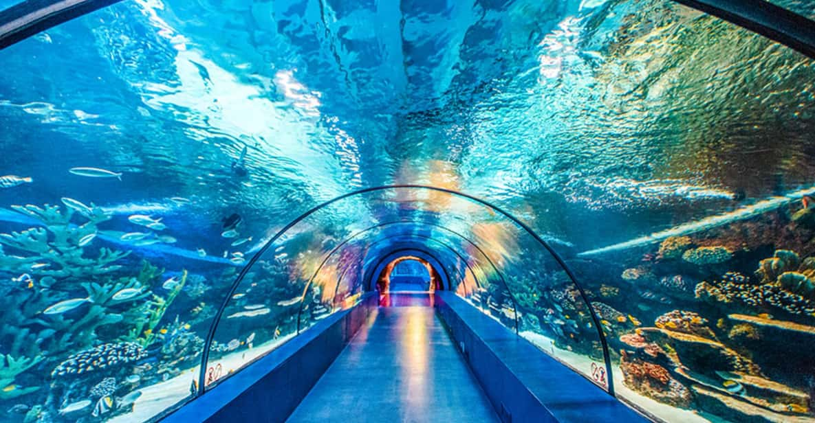 From Antalya All Region: Antalya Aquarium with Transfer | GetYourGuide