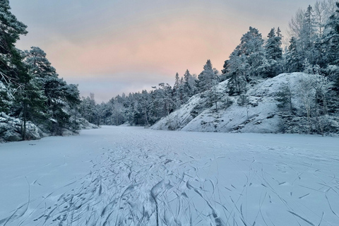 Estocolmo: Patinaje Nórdico sobre Hielo para Principiantes en un Lago Helado