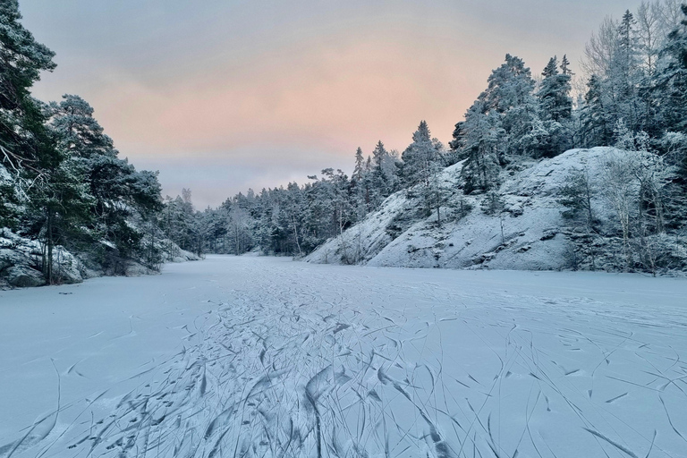 Estocolmo: Patinaje Nórdico sobre Hielo para Principiantes en un Lago Helado