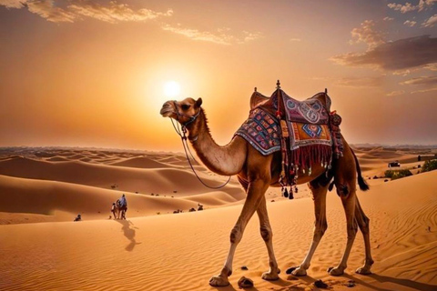 Doha: 4x4 Desert Tour with Inland Sea & Optional Activities Group Tour with QuadBike Ride (ATV)