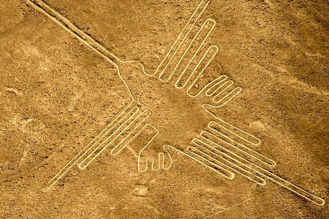 Journée complète Îles Ballestas - survol des lignes Nazca-Nazca