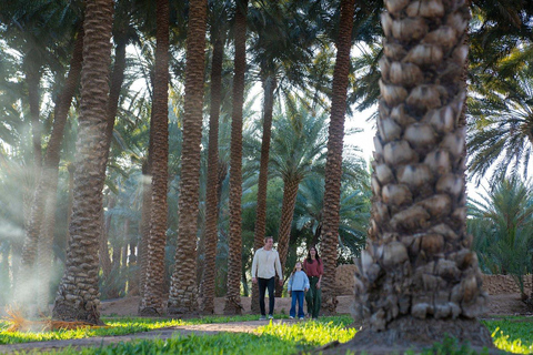 AlUla: Hegra, Old Town, Elephant Rock & Saudi Meal