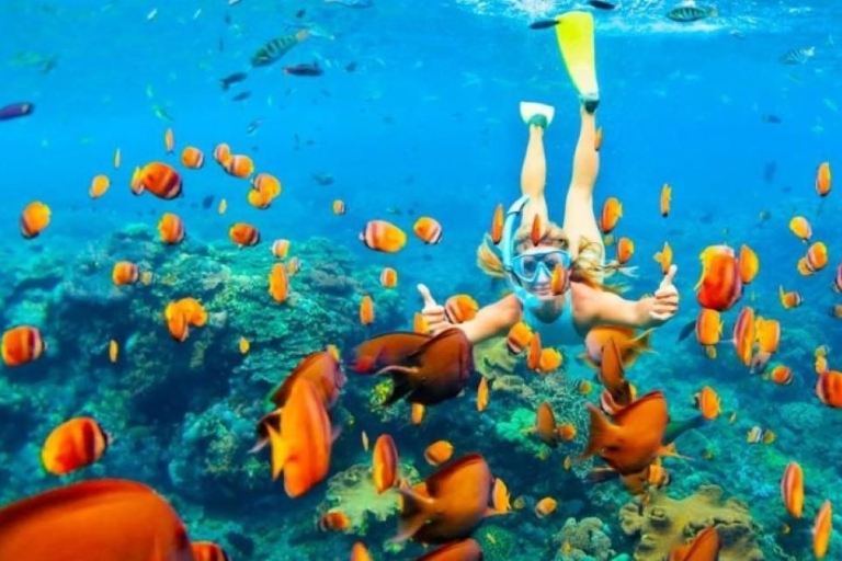Makadi Baai: Orange Island Trip met Snorkelen & ParasailingSinaasappel, Parasailing, Boottocht, Lunch, Drankjes & Transfers