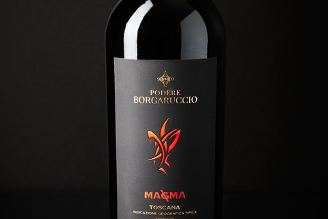 Peccioli: Wine tasting experience