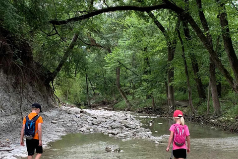 Privado: Aventura en las cataratas de Damajagua con caminata por la selvaPrivado: Aventura en las cascadas de Damajagua con caminata por la selva