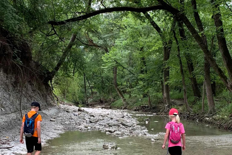 Privado: Aventura en las cataratas de Damajagua con caminata por la selvaPrivado: Aventura en las cascadas de Damajagua con caminata por la selva