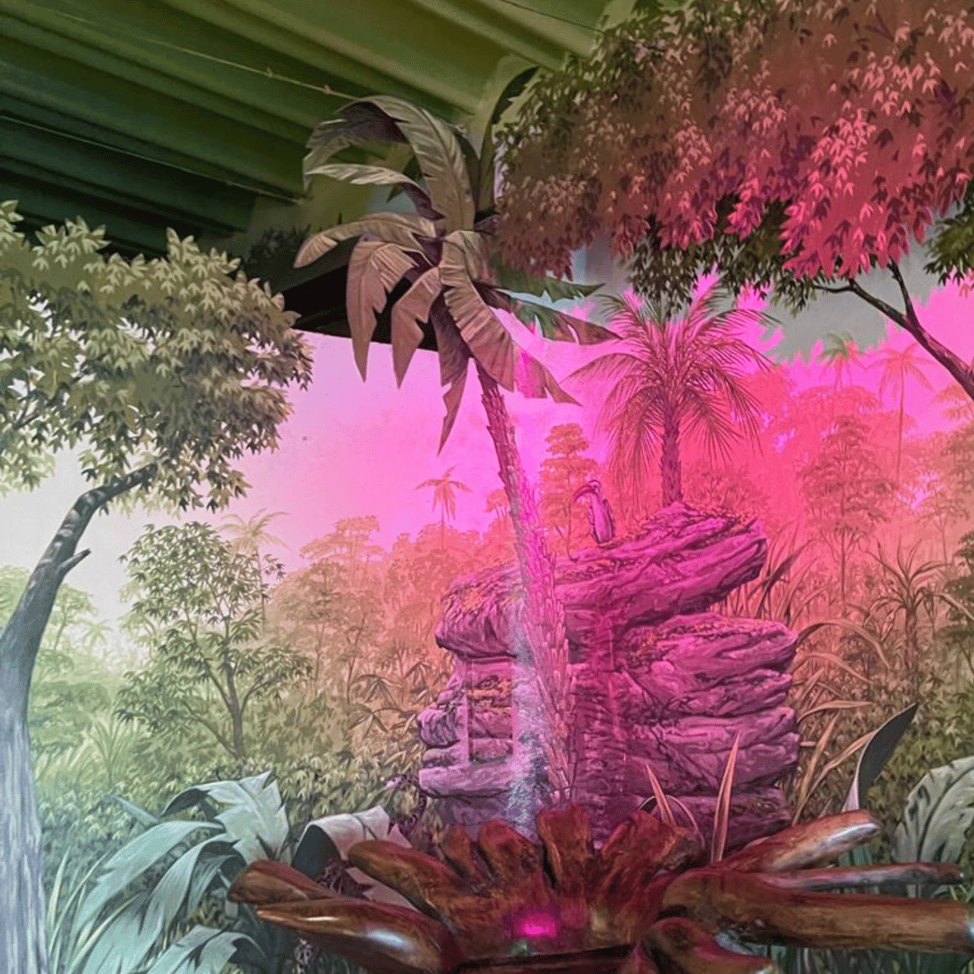 Media collage
