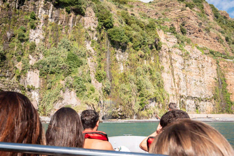 Calheta Madeira: Whale and Dolphin Watching Speed Boat Tour