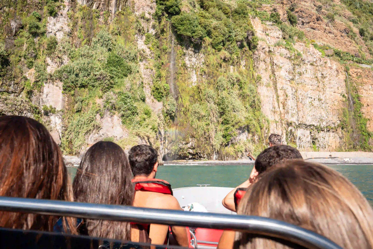 Calheta Madeira: Whale and Dolphin Watching Speed Boat Tour