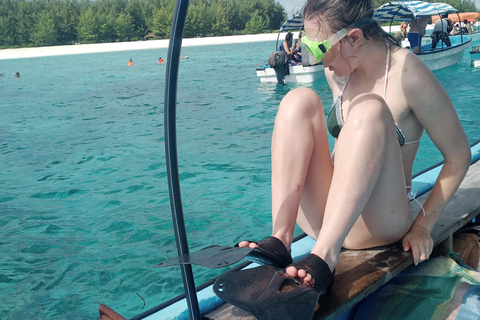 Isla de Mnemba Nadar con delfines y snokling