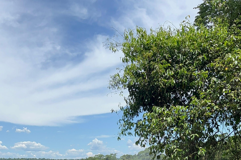 Iguassu Falls: Private Tour Argentina side