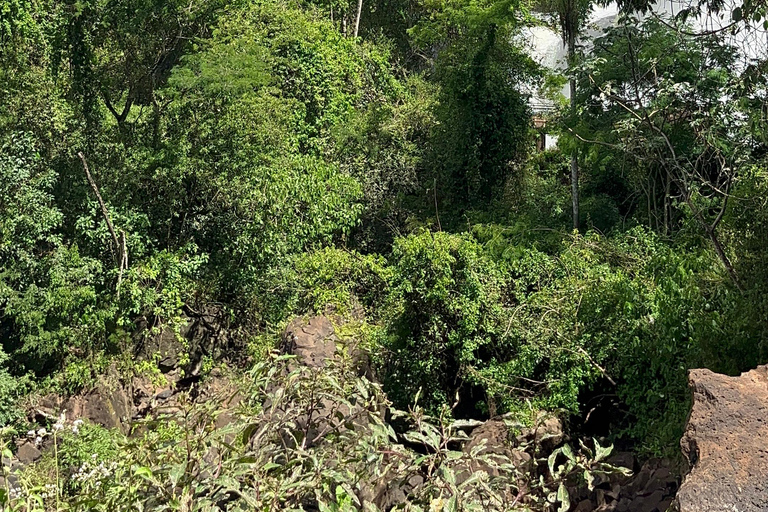 Iguassu Falls: Private Tour Argentina side