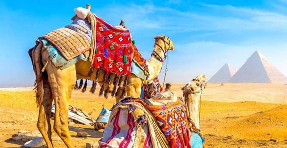 Von Gizeh aus: Tagestour zu den Pyramiden von Gizeh Tour mit Abholung