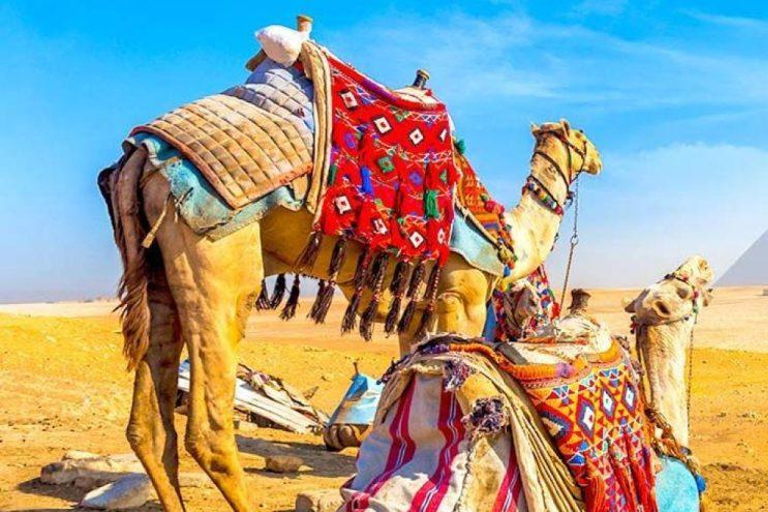 Da Giza o dal Cairo: Tour privato delle Piramidi di Giza con pick-up