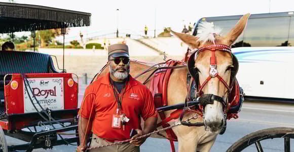 New Orleans: French Quarter Sightseeing Kutschenfahrt