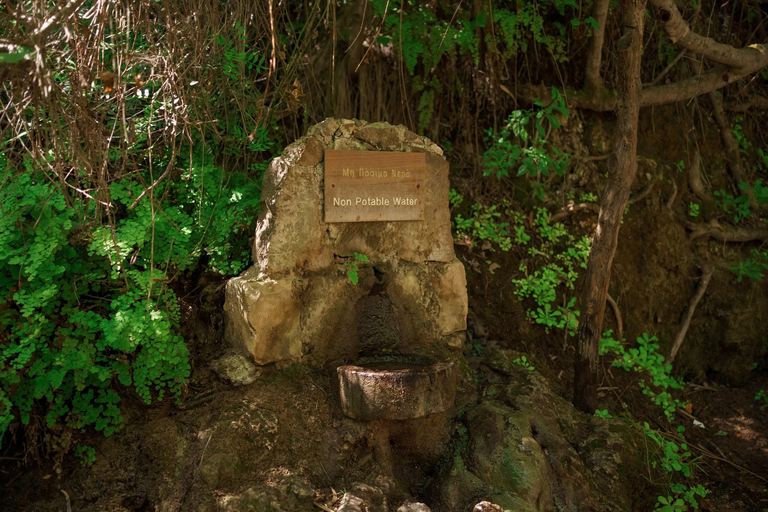 Paphos: Viagem de 1 dia a Akamas/Lagoa Azul e Banhos de Afrodite(Cópia de) Paphos: Parque Nacional de Akamas e passeio de ônibus e barco pela Lagoa Azul