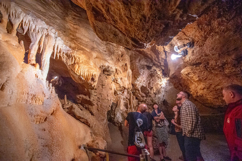 From Vienna: Bratislava & Countryside Guided Half Day Tour Private Tour