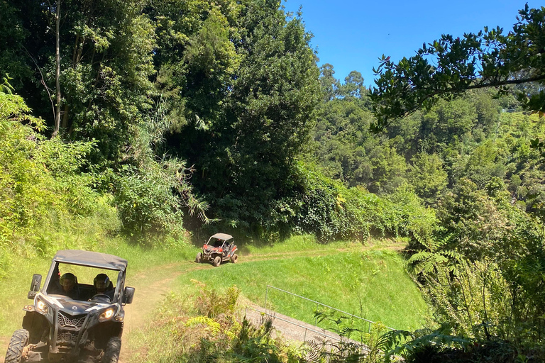 EXPÉRIENCE DE CONDUITE D&#039;UN BUGGY TOUT-TERRAIN
