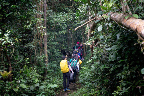 Kathmandu - Shivapuri Day Hike with Lunch Full-Day Shivapuri Hike with Lunch