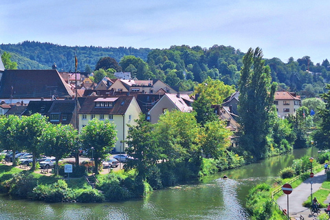 Heidelberg: Neckar River, Cave, Odenwald – Active Highlights Discovery Tour