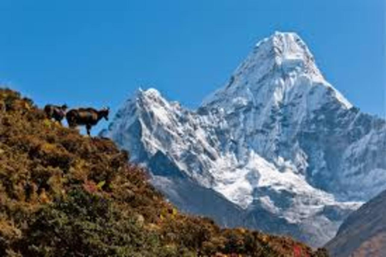 Nepal: Everest Three Passes Trek