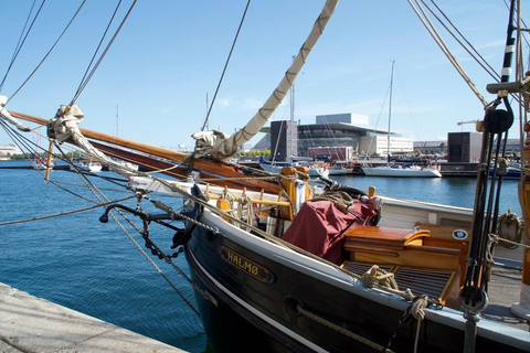 Tour della città di Copenaghen in inglese