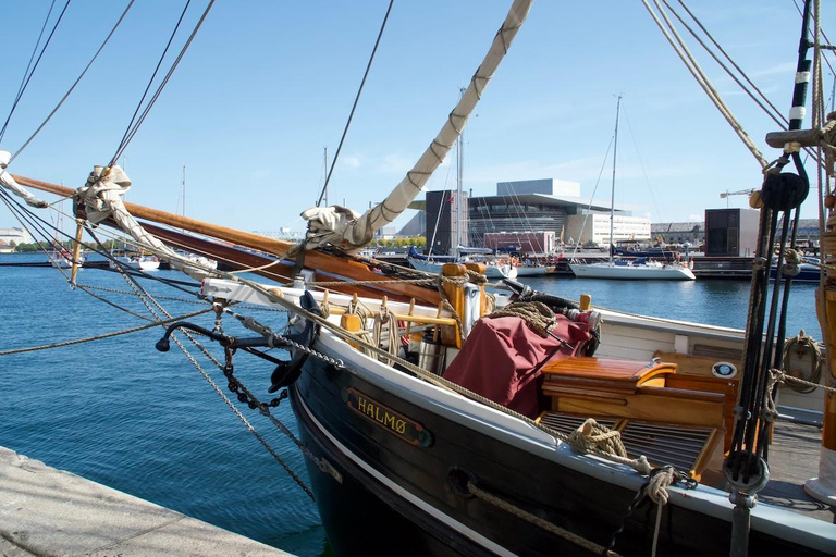 Tour della città di Copenaghen in inglese