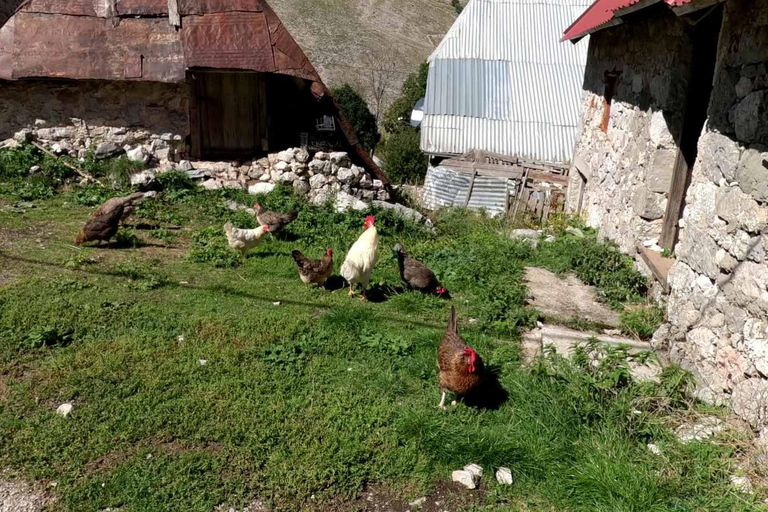 Sarajevo: Lukomir Village Tour with Local Food Tasting