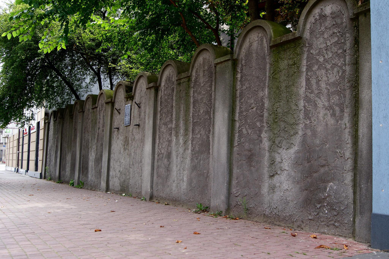 克拉科夫：私人半日城市游，含当地美食