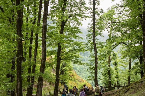From Baku: Sim Waterfall & Ballıgaya Hiking Tour