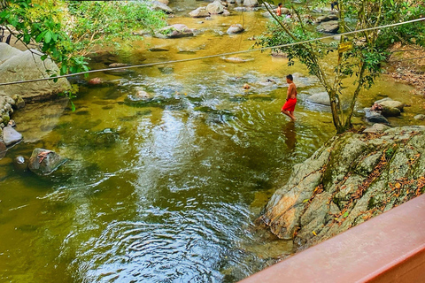 From Santa Marta: Minca and Coffee and Cacao Tour with Lunch Minca Magic and exotic Coffee and Cacao Tour