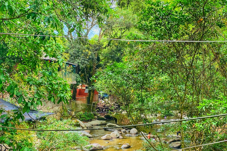 From Santa Marta: Minca and Coffee and Cacao Tour with Lunch Minca Magic and exotic Coffee and Cacao Tour