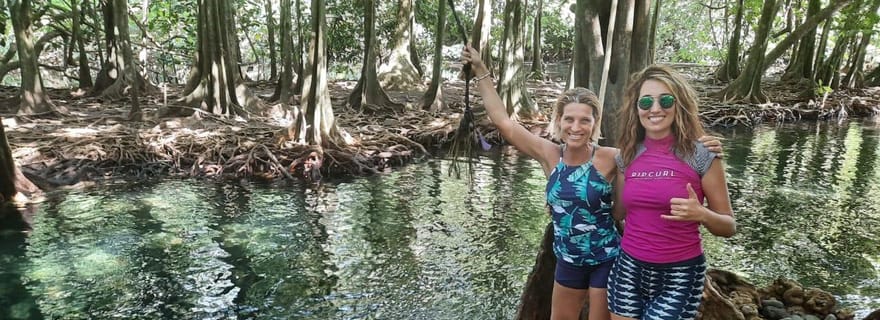 Tahiti : Teahupoo Wave & Coastal Tour avec prise en charge à l'hôtel