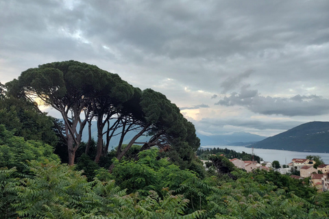 Herceg Novi: para Kotor e Perast de carro