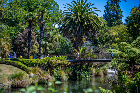 Akaroa to Christchurch 1 way tour