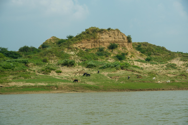 From Agra: Day Trip to Chambal River Safari with Lunch