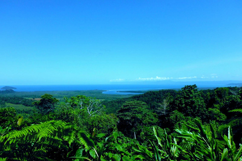 Attrazioni delle Tablelands e foresta pluviale di Daintree