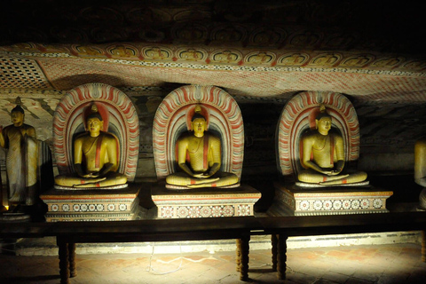 From Galle/Bentota: Sigiriya Rock and Dambulla Two Day Trip