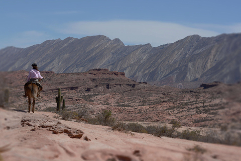 Horseback riding in the Calchaquí Valleys - Salta - Argentina